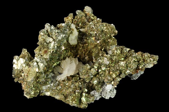 Bladed Barite Crystals on Iridescent Chalcopyrite - Morocco #160137